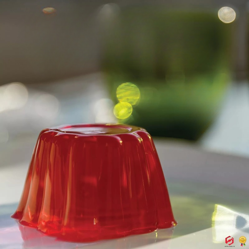 Pudding Cake Mold with Lid DIY - Baby Food Dessert recensie en prijs