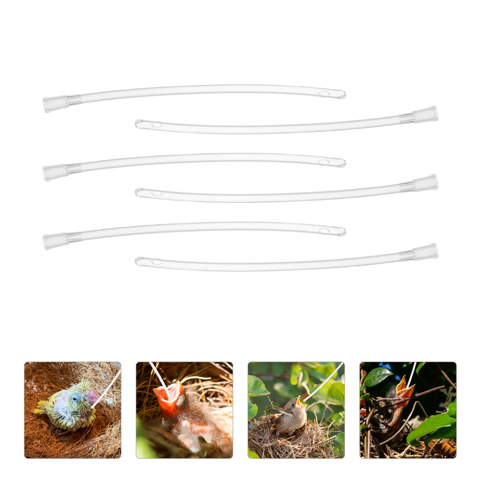 10Pcs Parrot Hand Feeder Tube  - Baby Food Youtube recensie en prijs