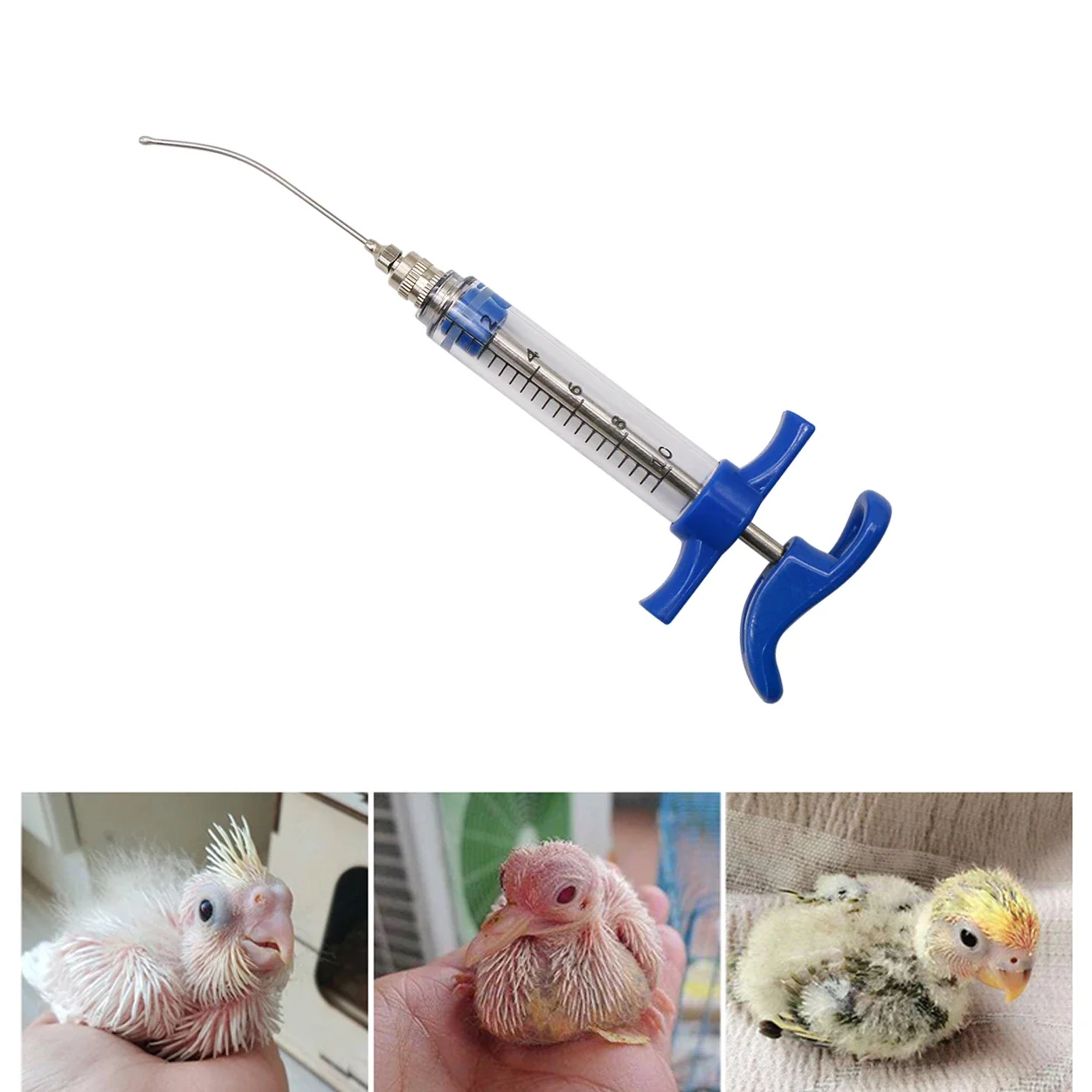 Parrot Feeding Tubes Birds Fee - Baby Food Youtube recensie en prijs