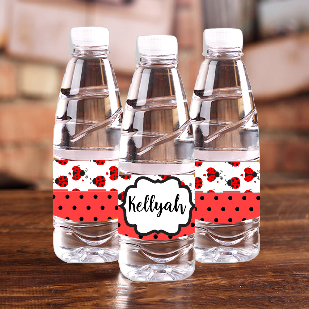 Personalised Ladybug Red Polka - Baby Food Recipes recensie en prijs